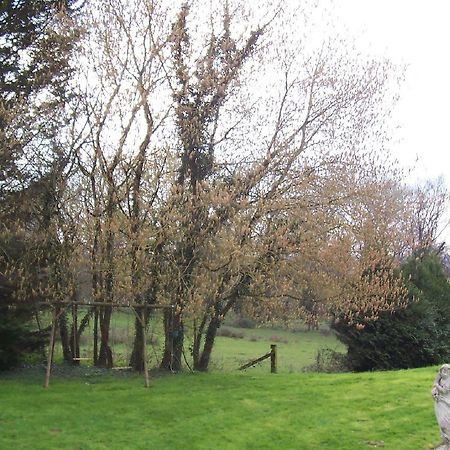Chateau Champigny Bed & Breakfast Maillet  Dış mekan fotoğraf