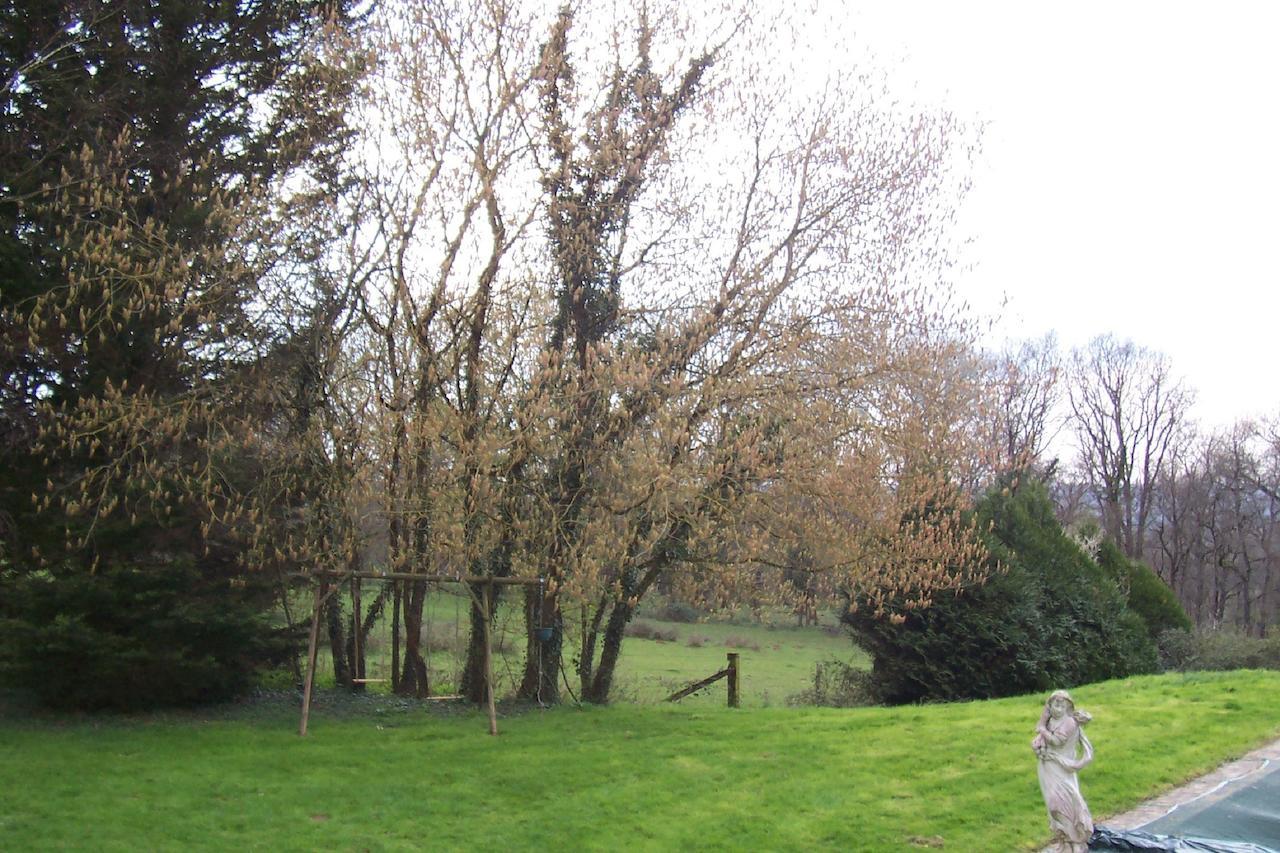 Chateau Champigny Bed & Breakfast Maillet  Dış mekan fotoğraf